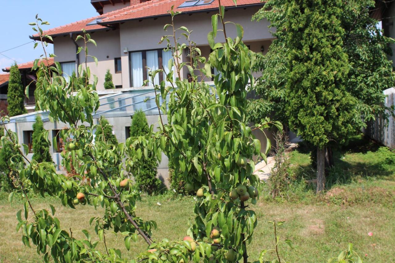 Cengic Sarajevo